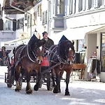 בית הארחה Bichlerhof 4*
